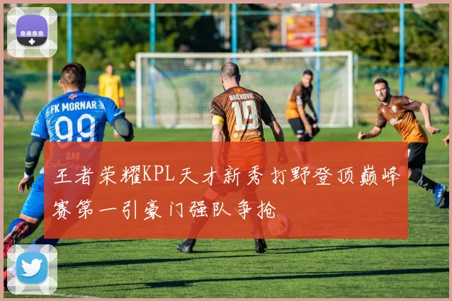 王者荣耀KPL天才新秀打野登顶巅峰赛第一引豪门强队争抢